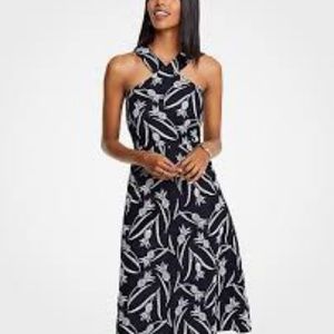 Ann Taylor Dress